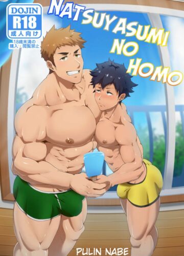 Natsuyasumi no Homo