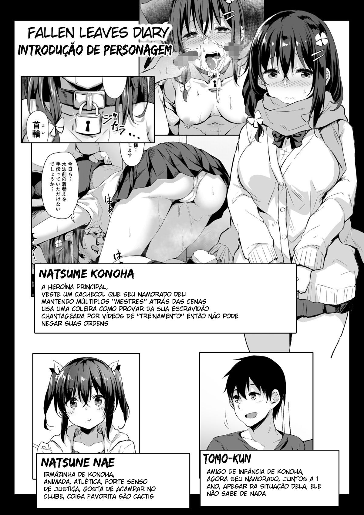 Ochiba Nikki -Roshutsu Choukyou Hen-